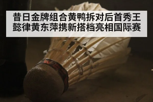 昔日金牌组合黄鸭拆对后首秀王懿律黄东萍携新搭档亮相国际赛